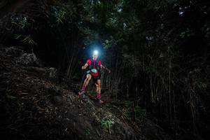 BIB: 
                            <button type="button" onclick="openModal(25090672)" class="btn btn-primary btn-sm float-right btn-popup" data-toggle="modal" data-target=".modal-high-quality">
                        <i class="fas fa-shopping-cart"></i> Add to Cart
                    </button>
                                            <button type="button" onclick="isThisMe(25090672, true)" class="btn btn-success btn-sm float-right btn-popup btn-isme hidden" data-toggle="tooltip" data-placement="bottom" title="นี่คือรูปของคุณใช่ไหม คลิกที่นี่เพื่อเอาเข้าอัลบั้ม">
                        <i class="fas fa-plus"></i> Add to album
                    </button>
                    <button type="button" onclick="isThisMe(25090672, false)" class="btn btn-warning btn-sm float-right btn-popup btn-isnotme hidden">
                        <i class="fas fa-ban"></i> Remove from album
                    </button>